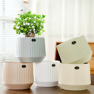 һ�����l�¿��մɻ��莧�бP���s�����҃���Gֲ���⻨������m