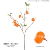 Six -head kumquat (trumpet)