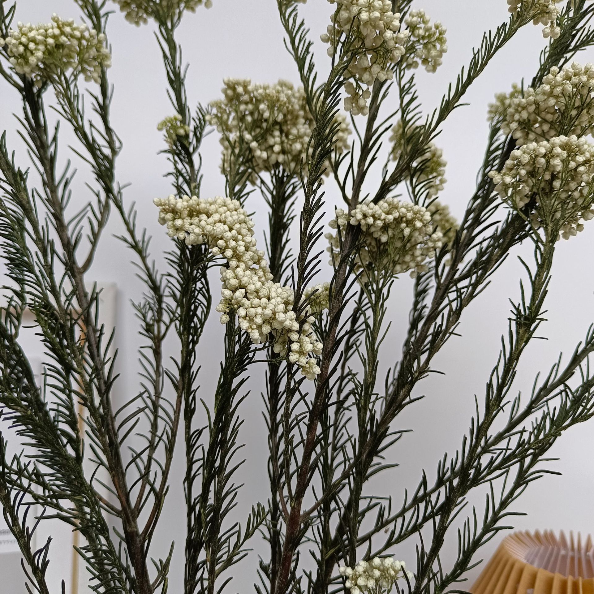 4308b07a118fe77cc9e91eca99162b