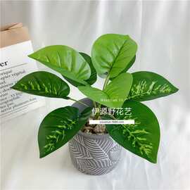 万年青仿真绿植植物造景万年青绿萝跨境爬宠植物墙插花装饰配件盆