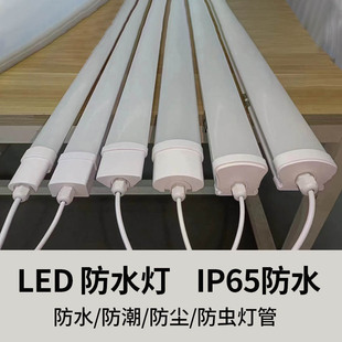 LED three-proof strip waterproof purification lamp IP65 outdoor waterproof moisture-proof workshop cold storage farm waterproof tube