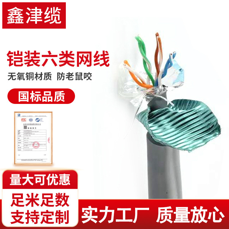 Outdoor armored network cable national standard perforation-free ultra-class 5 shielding network cable flame retardant 8 4 core armored class 6 network cable