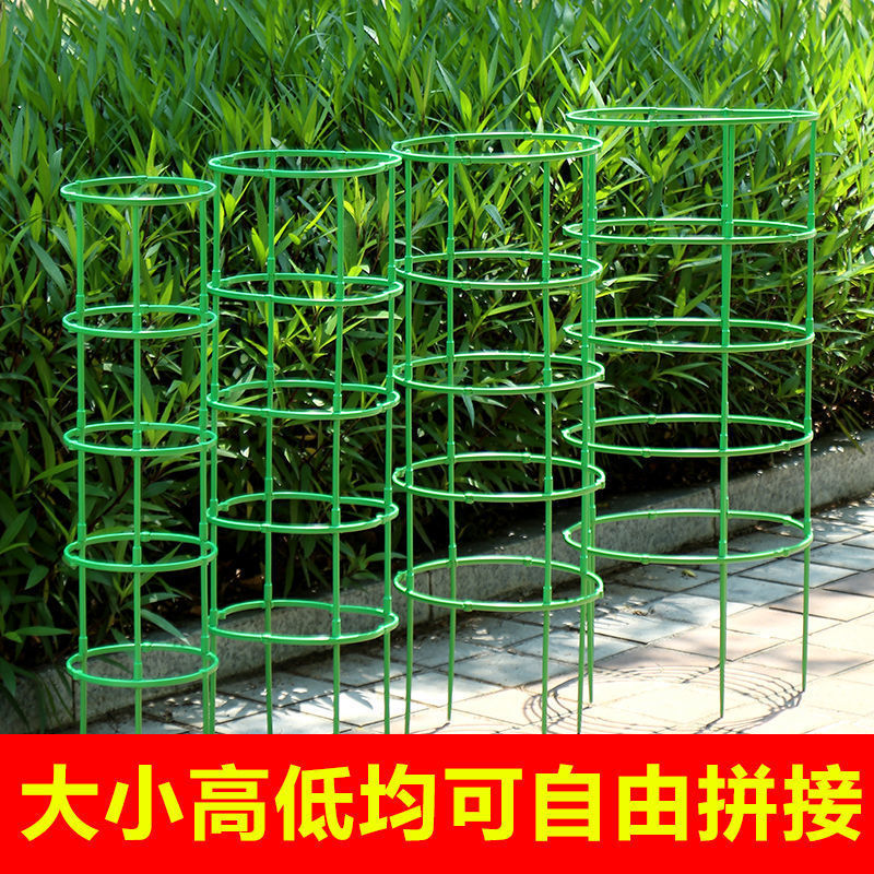 New type bracket support rod lotus grafted Christmas cactus round flower stand bracket Christmas cactus leaf vine flower stand