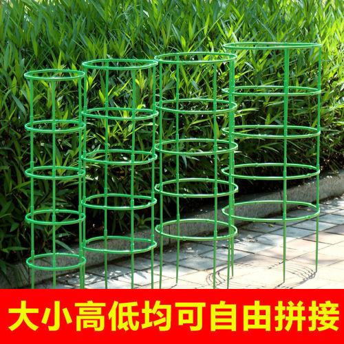 New type bracket support rod lotus grafted Christmas cactus round flower stand bracket Christmas cactus leaf vine flower stand
