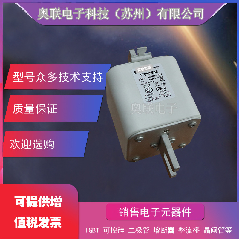 170M5008 170M5009 170M5010 170M5011 170M5012 170M5013熔断器