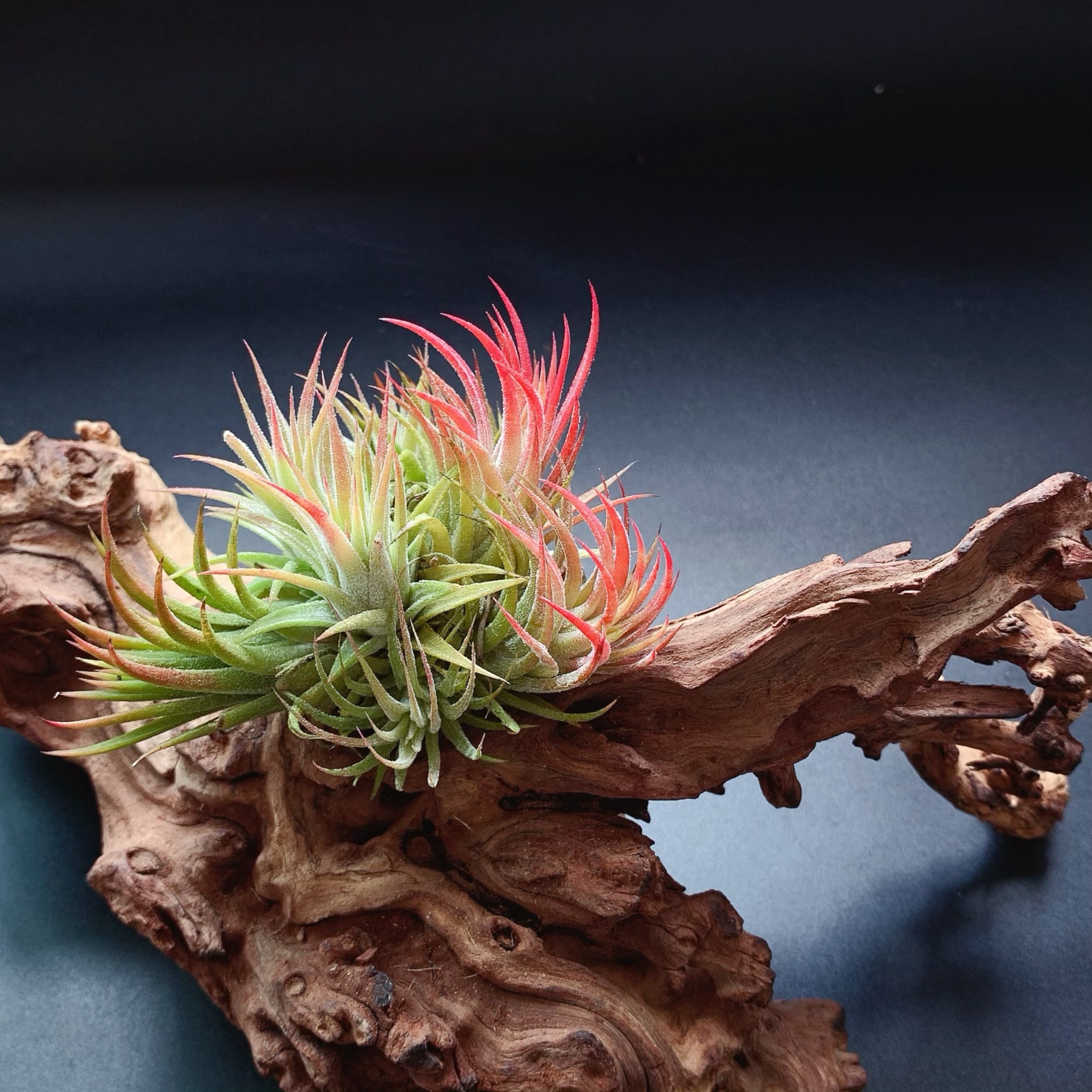 微信图片_20240411134820