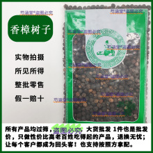 ������ ������ ��ľ�� ������ �����������Ѹ�؛500�˴��N��ș��