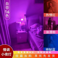 感氛围床头灯房间小夜灯浪漫感灯情调高级紫色卧室氛围灯睡眠