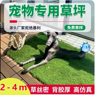 草坪地毯宠物门口地垫狗狗进门客厅人造草皮尿垫假草户外健身场地