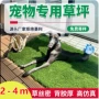 门口场地人造健身草皮