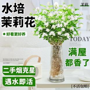 �������ԝ��㎧�����҃�ˮ������ļ����B�Gֲ���܏S��ֱ�N