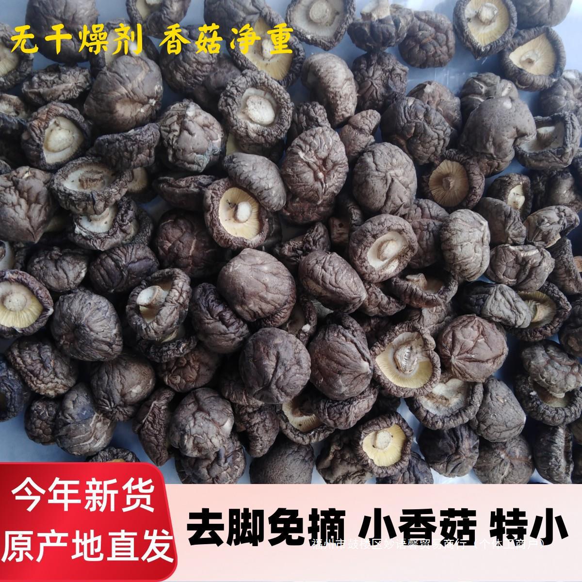 500g金钱特小纽扣珍珠菇商用小香菇干货菇干香菇菇香菇干丁小香菇