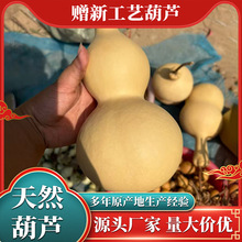 ��Ȼ����J ����Ҿ��Ʒ����J�[�������^��䁑Ғ��Q�T���T