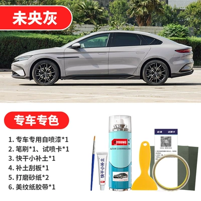 Self-Spray Paint – Avtomobil boya qələmləri - wei-yang-gray-emergency-repair