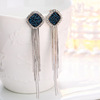 Long silver needle with tassels, universal earrings, silver 925 sample, internet celebrity