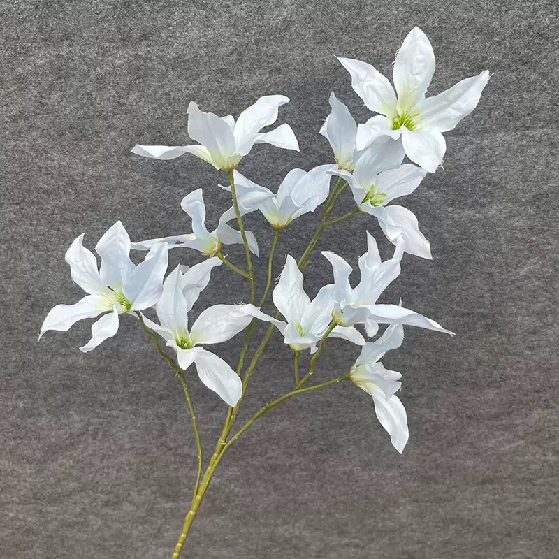 다두 가란 백합 - 하늘색