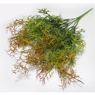 ����Gֲ��횲�С�Gֲ���춬�ݼ��~�ݬF؛���l