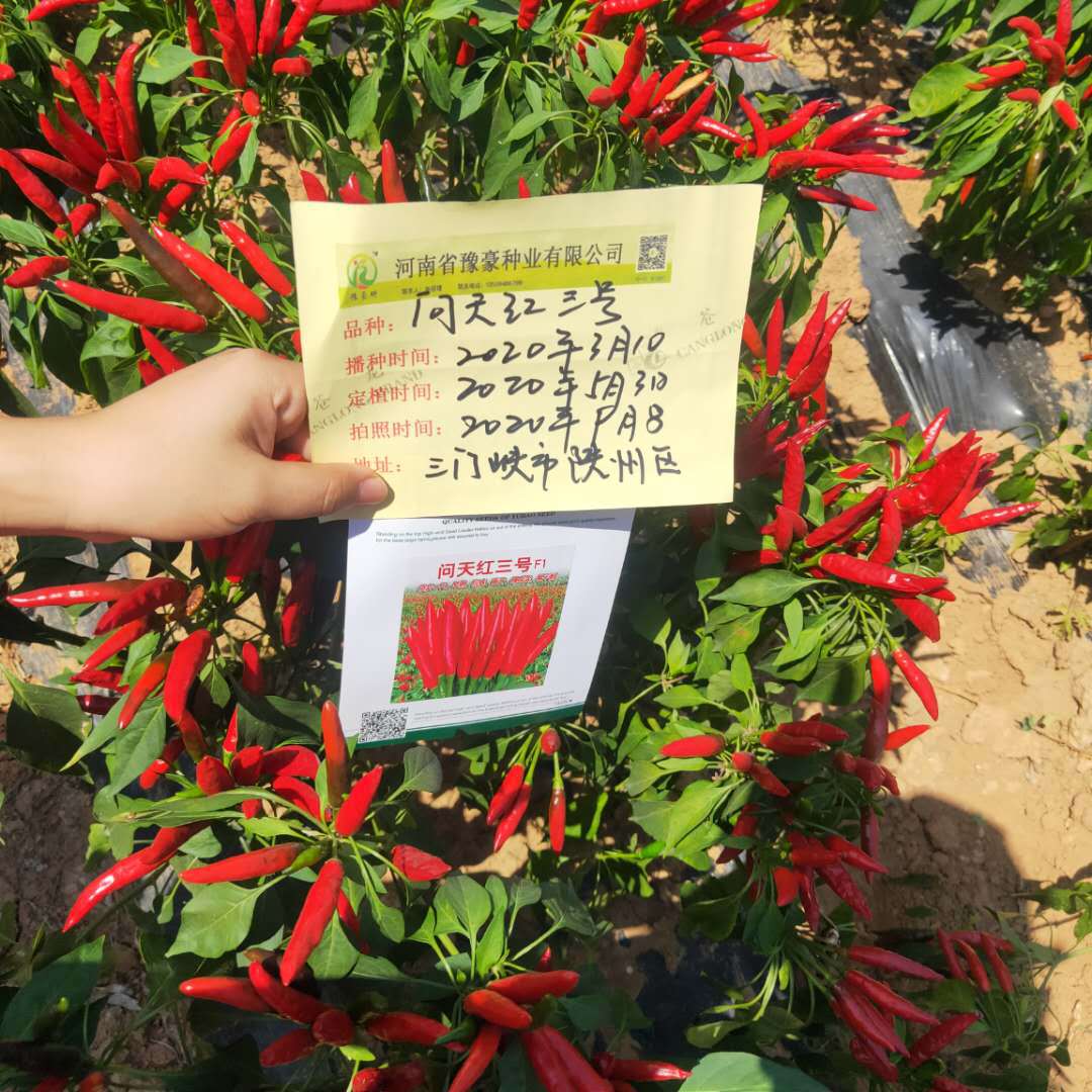 6142139581c888ebdf7f91d2ad4df9