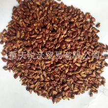 1000�˺��ɢ�b���l�����у��t������