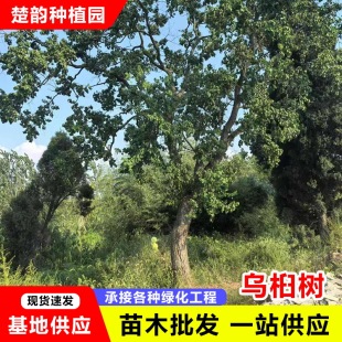 �����������煲����������ͺ����~�����ͥԺ��·���^��