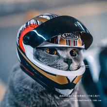 猫咪机车头盔喵宠物摩托车头盔猫狗狗帅气帽子迷你机车帽