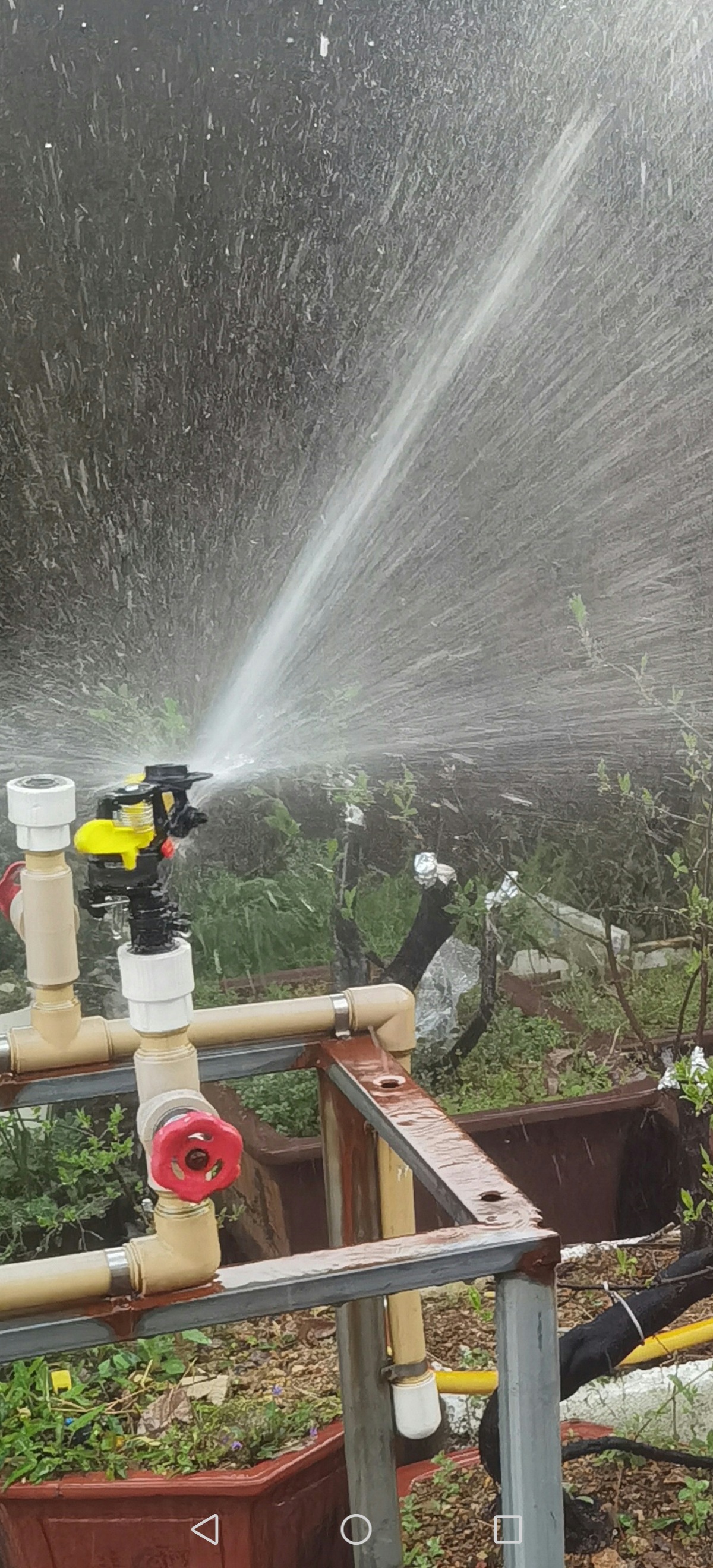 产品照片Screenshot_20250403_172614