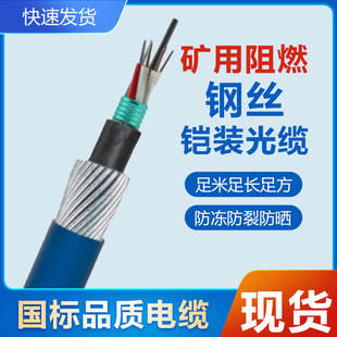 MGTSV-16B1 Mining Flame Retardant FiBer Optic CaBle 16-core Single-mode MA Coal Security Certified Structure Features
