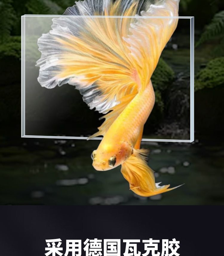 84258925-0a9f-4a0b-bfaf-ddcd15b8e045.jpe