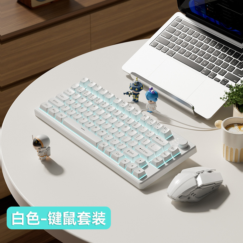 機械の手触りの女子学生の電気競争のキーボードは有線でタイプします。|undefined