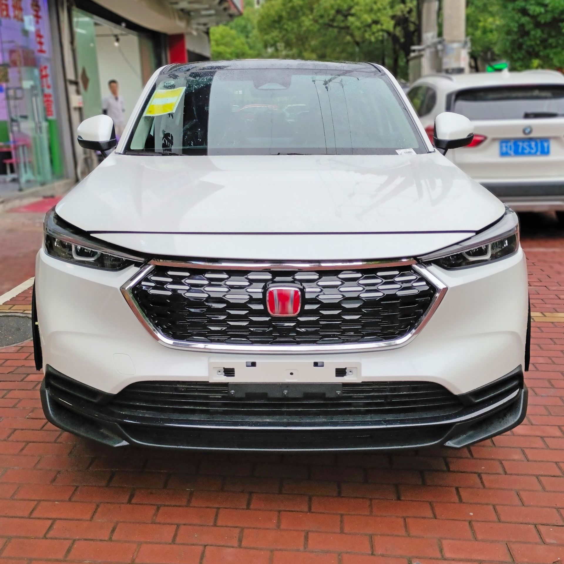 中网0459.jpg