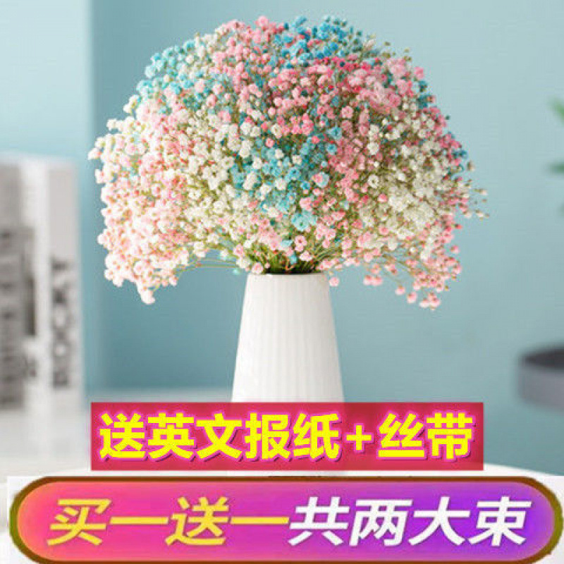 Yunnan lleno de flores secas, no olvides mi decoración de la casa, flores frescas, flores verdaderas, flores secas y verdaderas