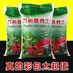 ���lһ�����l100���B���Gֲ�Nֲ���@ˇ�����ЙC�N�ˠI�B������