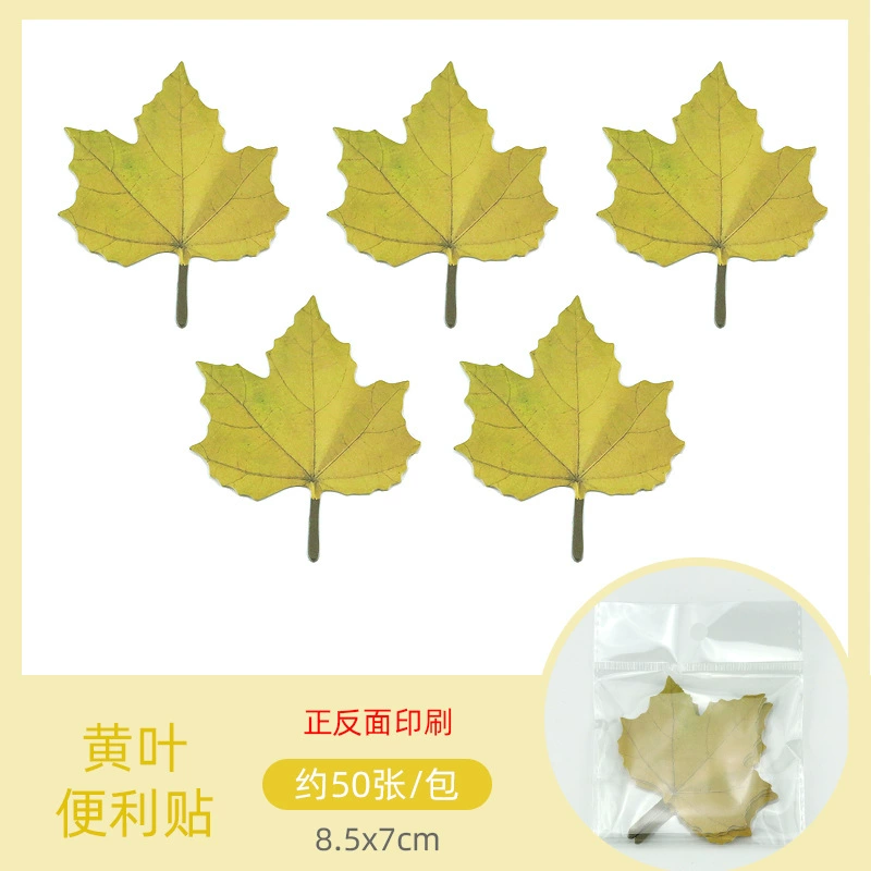 Maple leaf, sticker, base realistic note on wall