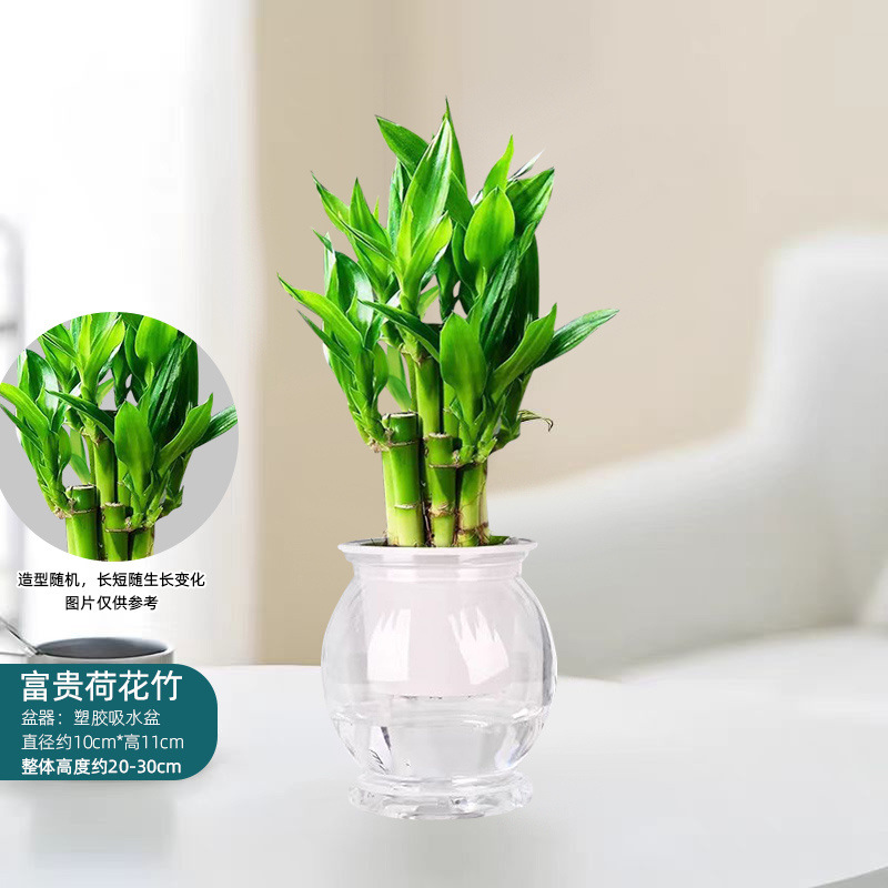 984aca22-2c74-46f8-864e-a7d61b6ce03e.jpe