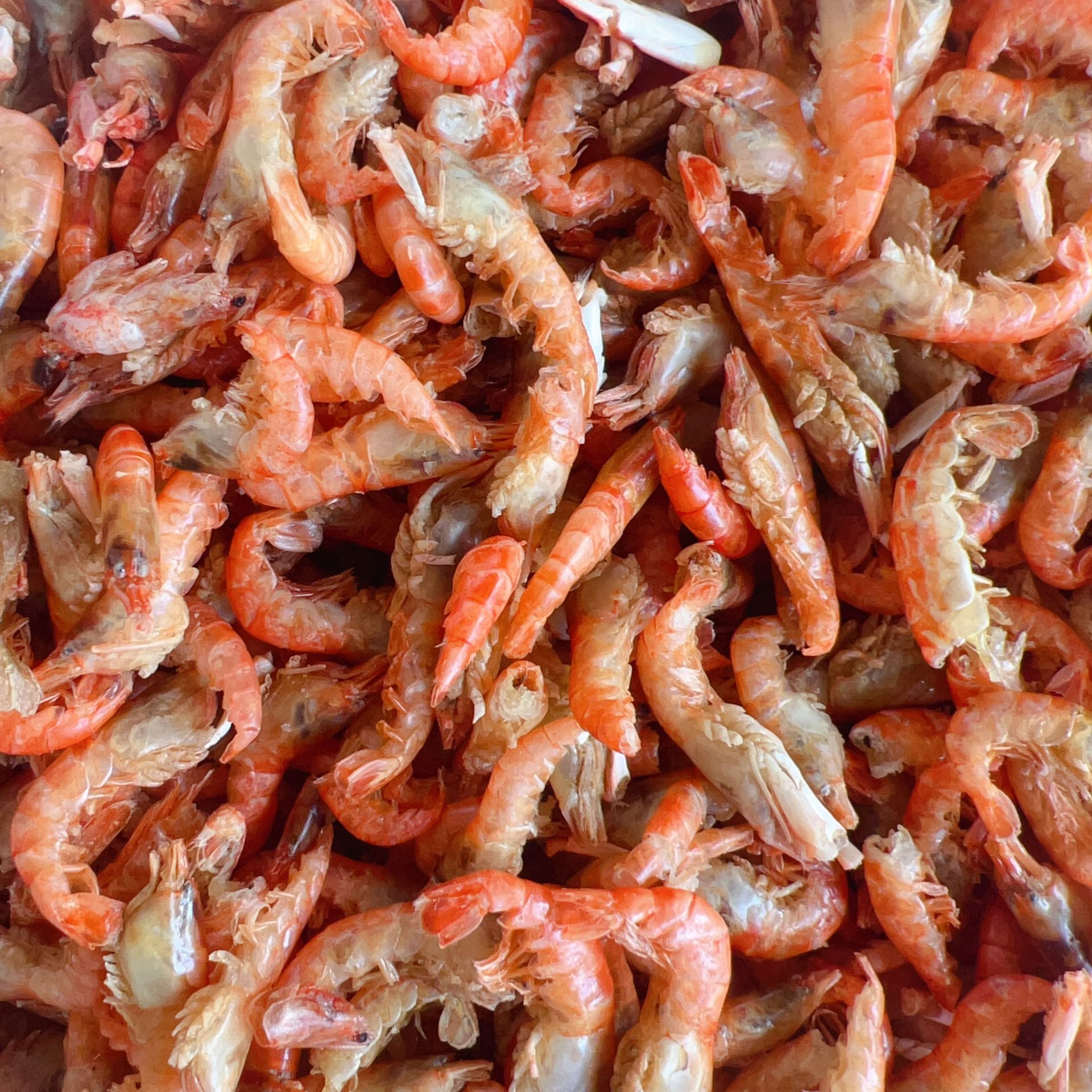 QQ图片20240825002328