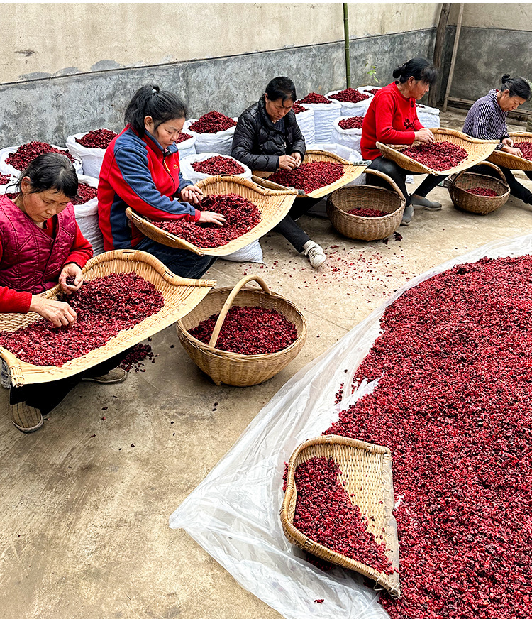 Shan Zhu Yu (Cornus officinalis) — Wild-Grown Pitted Dogwood Fruit, Sulfur-Free Dried Herb specifications