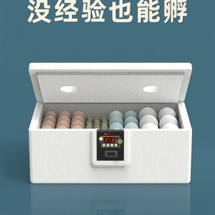 Incubator Small Water Bed Rutin Chicken Incubator Household Automatic Incubator Intelligent Small Chicken Duck Goose Incubator