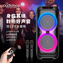 �ɶ������������仧��KTVר�û�Ͳ���������豸�㳡�������12��