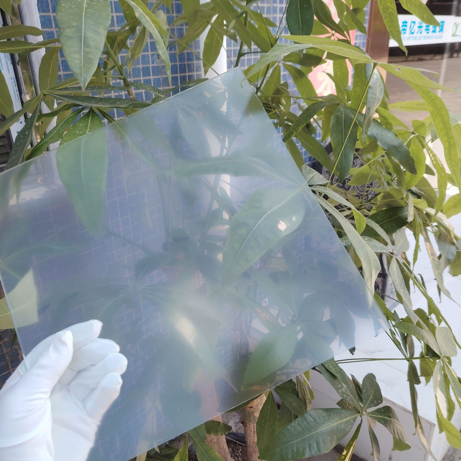 微信图片_20250305014528