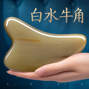 ��ˮţ�ǹ���������沿���݌���Ę������y��Ę�ΰ���ͨ�ð�Ħ
