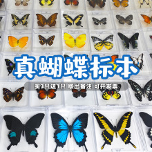 �����˱��[���ֹ����x�˱��b�Ʒչ��������˱��W���������նY��
