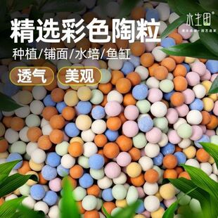 ��ڻ����ϵ�ʯ�Ӱ����m���N�����ʯ�B����ɫС��������ʯ