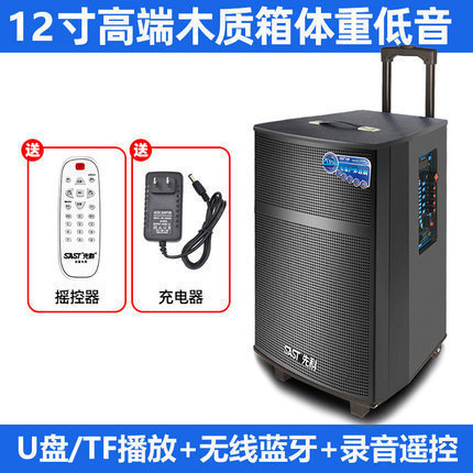 先科广场舞蓝牙音响带话筒家用户外拉杆音箱大功率低音炮厂家批发|undefined