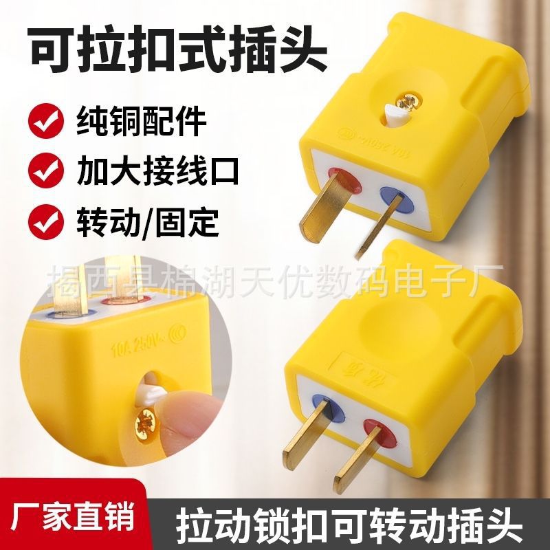 Household Rotatable Fixed Thickeneded Pure Copper Plug Two-Pin Without Wire Anti-Leakage 10A High Power Wholesale Dropshipping