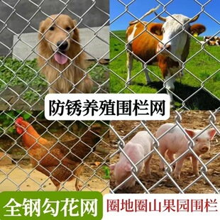 ����\�F�z�����W�����b�W�����BֳȦ��������x�řڇ��W�S��