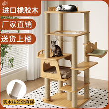 ��ľ؈����؈�C؈��һ�w�Ӵ�̫��œ���ò�ռ�ز�ż؈���Ӵ�؈����