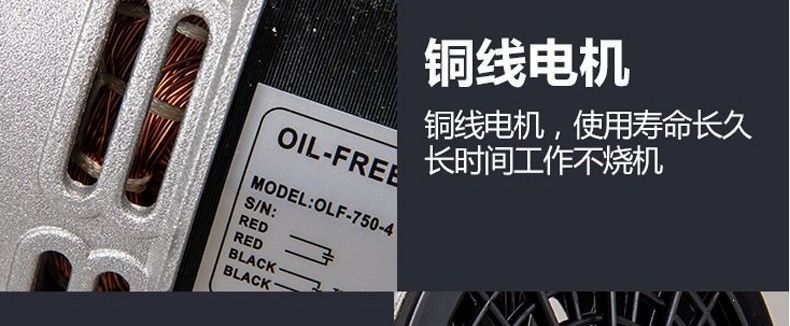 Oil-Free Silent Original Air Compressor Head Motor Vacuum Pump 220V Air Pump Head Air Compressor