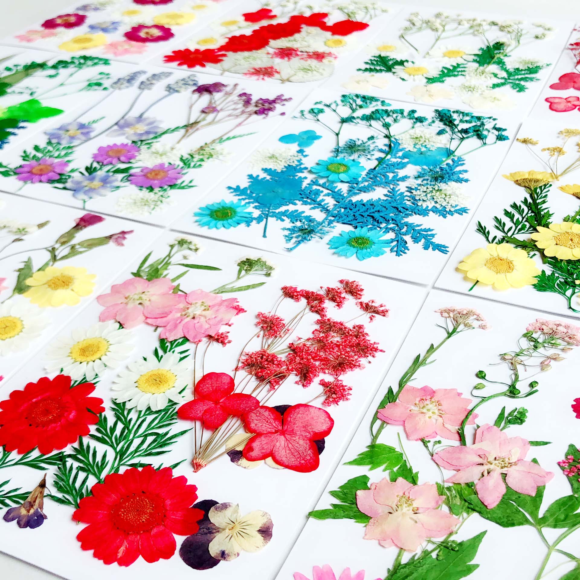 Paquete de material en relieve jardín de infantes en relieve DIY marcador epoxi flor seca caja del teléfono en relieve planta muestra