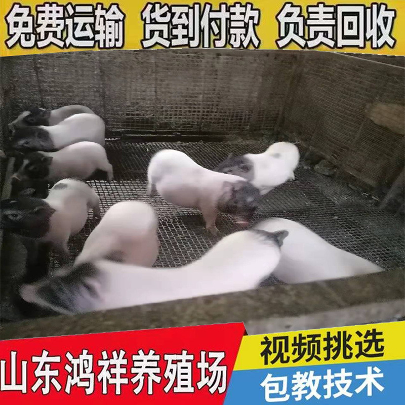 59f66cff6ade4d61b0af870b3a96ba