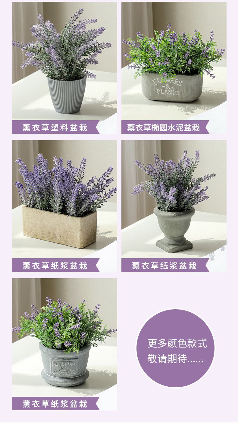 薰衣草仿真盆栽详情_04